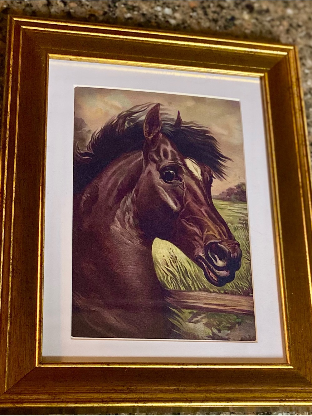 Kentucky Derby Horse Portrait | Small Framed Equestrian Art - Picture 2 of 4